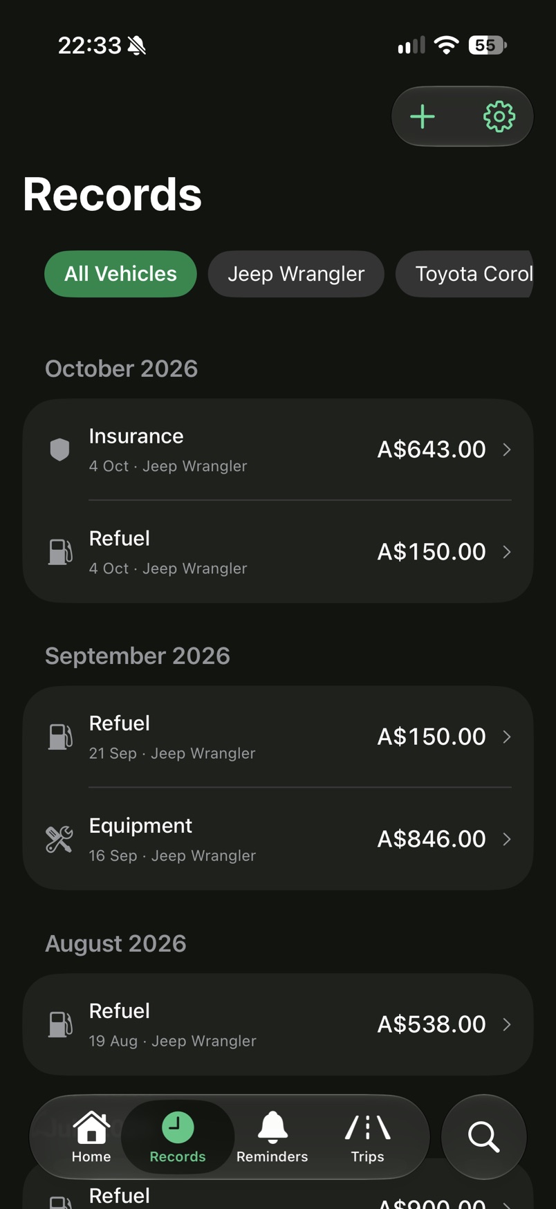 Records for all vehicles, with insurance, refuel and equipment entries by month.