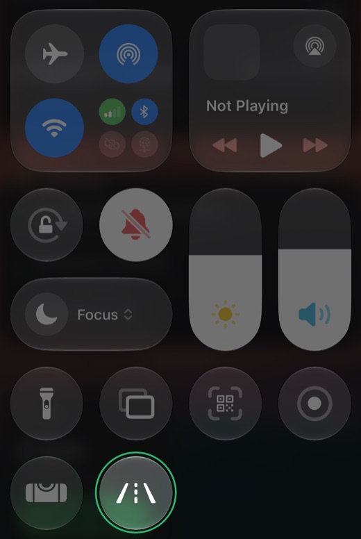 Control Center with Odometer's Trip control, a road icon, ringed in green.